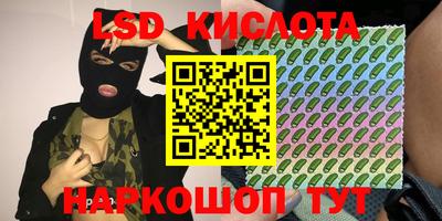стаф Дубна