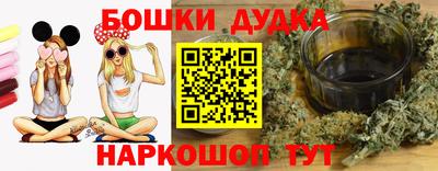 стаф Дубна