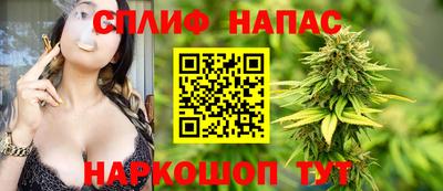 стаф Дубна