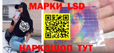стаф Дубна
