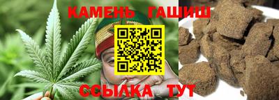 стаф Дубна