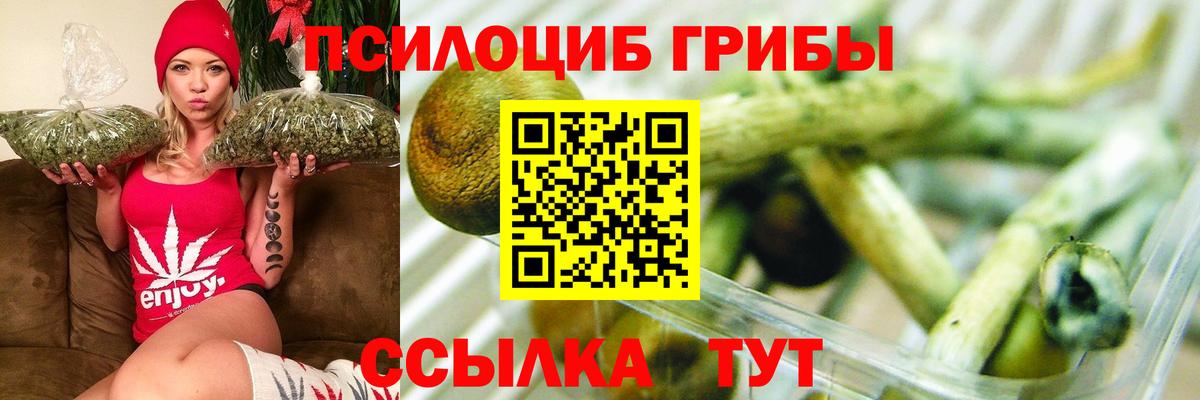 Псилоцибиновые грибы ЛСД  Вход с VPN  Мичуринск 